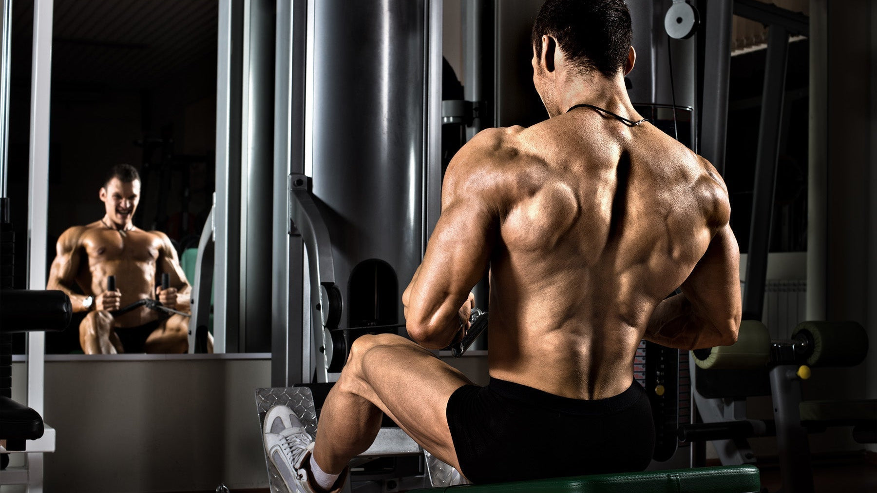 Protein, Creatine, and Aminos: How They Work Together for Muscle Growth