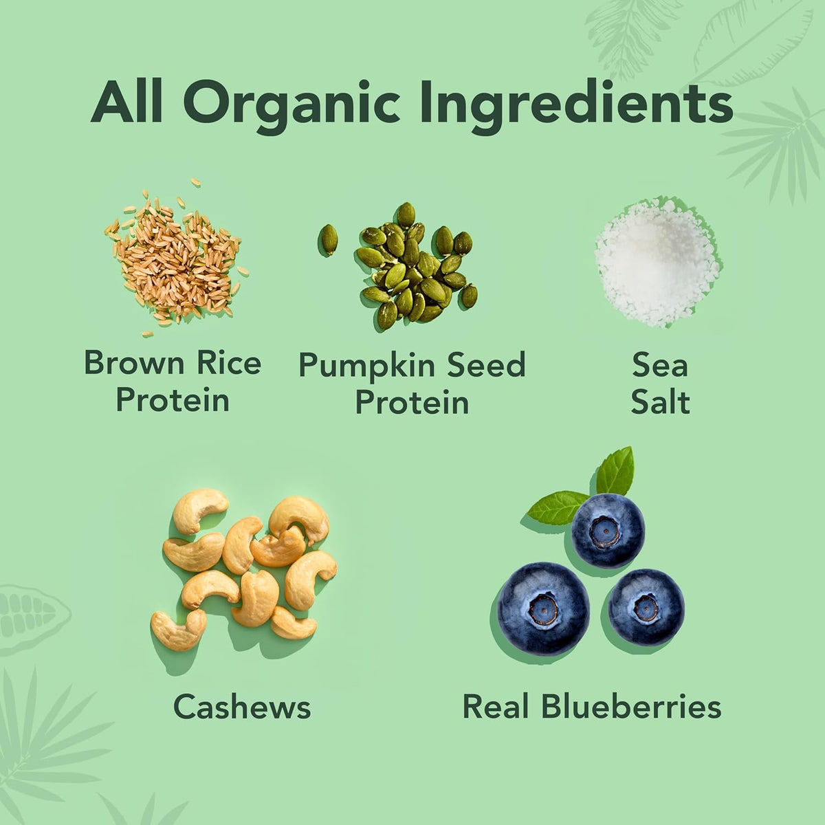 ALOHA Organic Plant-Based Protein Bars-N101 Nutrition