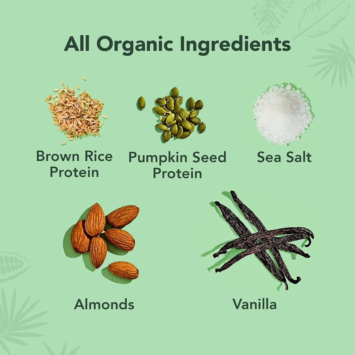 ALOHA Organic Plant-Based Protein Bars-N101 Nutrition