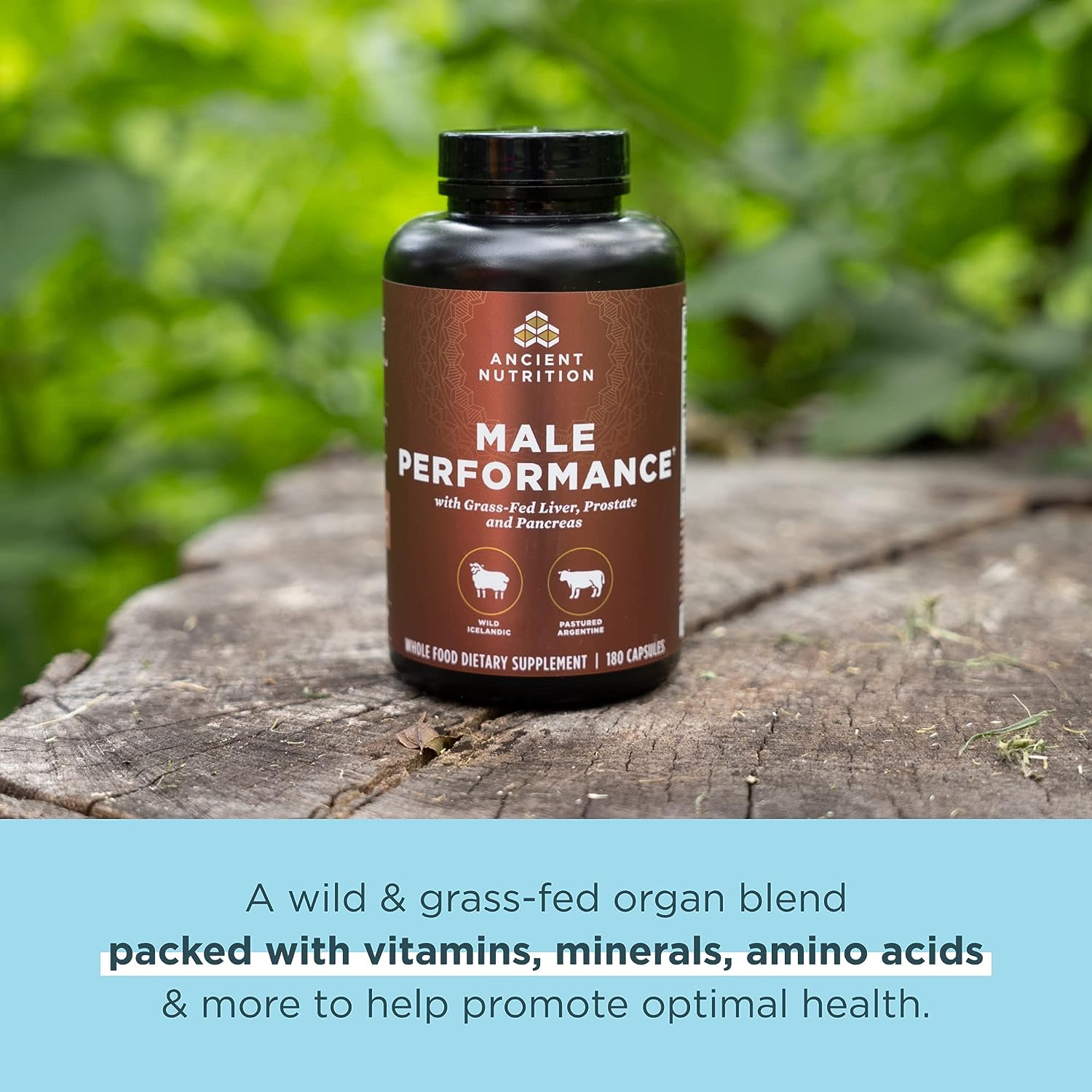 Ancient Nutrition Male Performance-N101 Nutrition