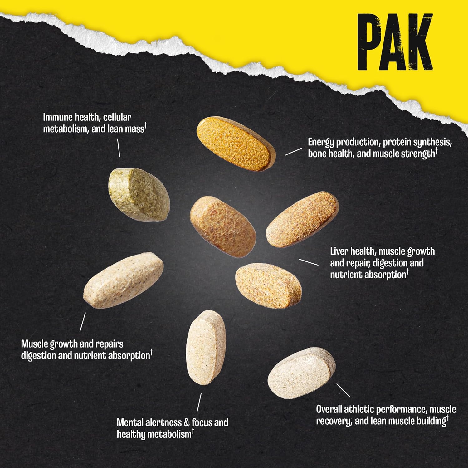 Animal Pak-N101 Nutrition
