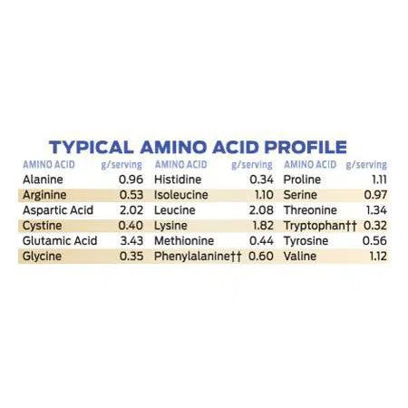 Biochem 100% Whey Protein - Natural Flavor-N101 Nutrition