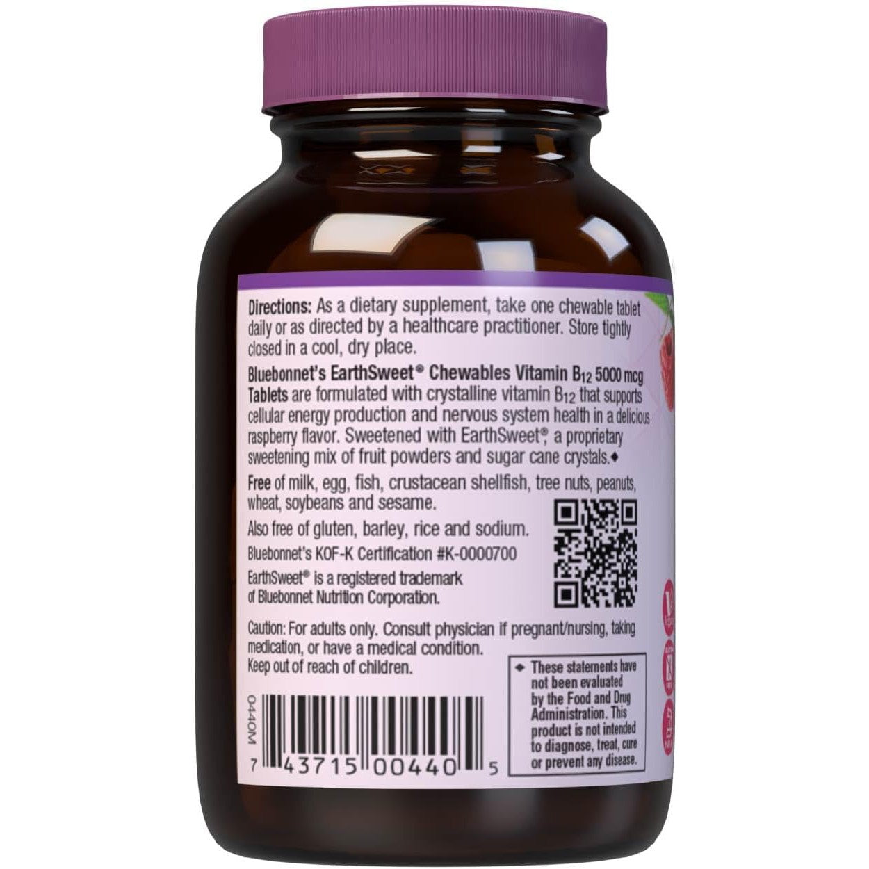 Bluebonnet EarthSweet Chewables Vitamin B12 5000 mcg, Raspberry-N101 Nutrition