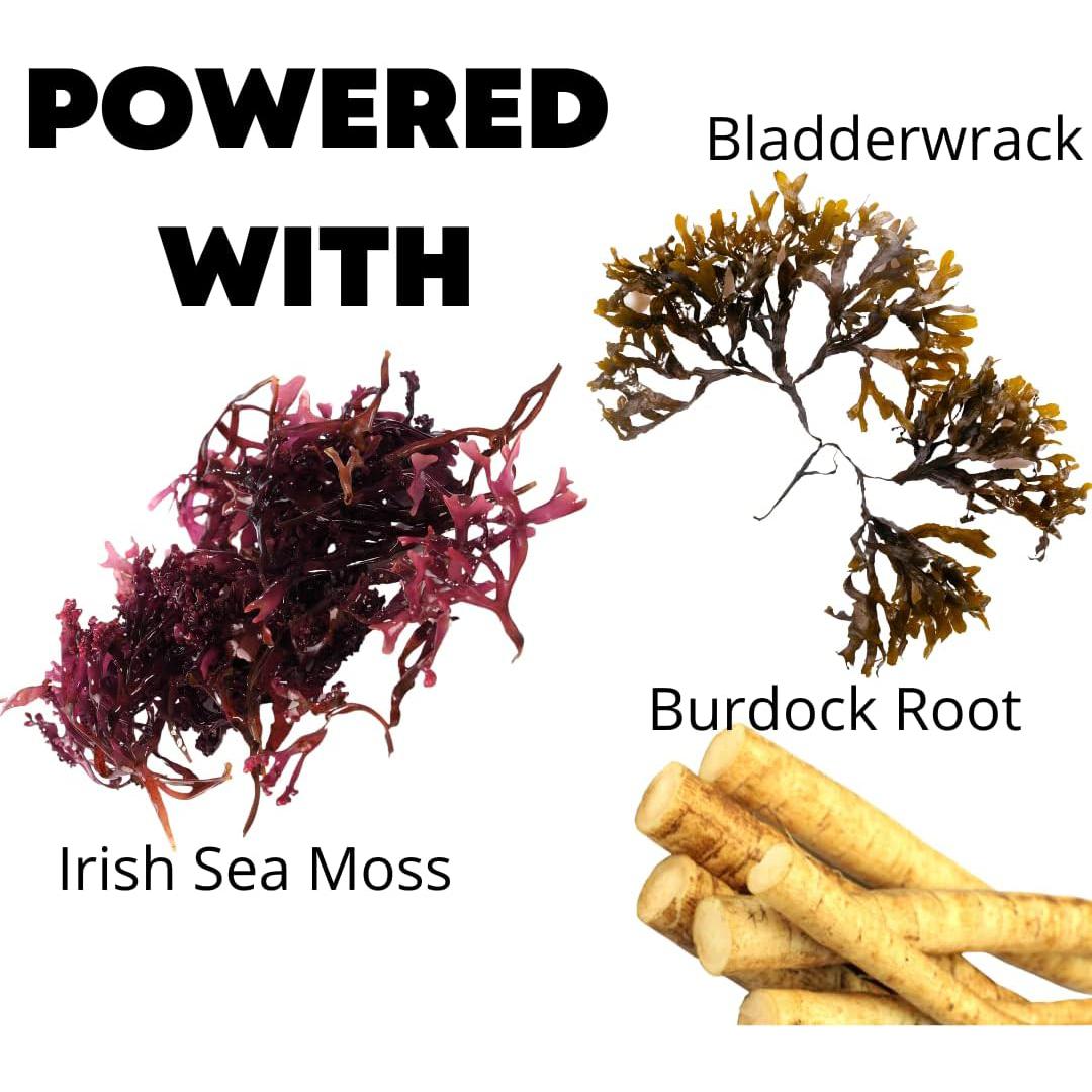 Bucklebury Wild Crafted Irish Sea Moss Gummies-N101 Nutrition