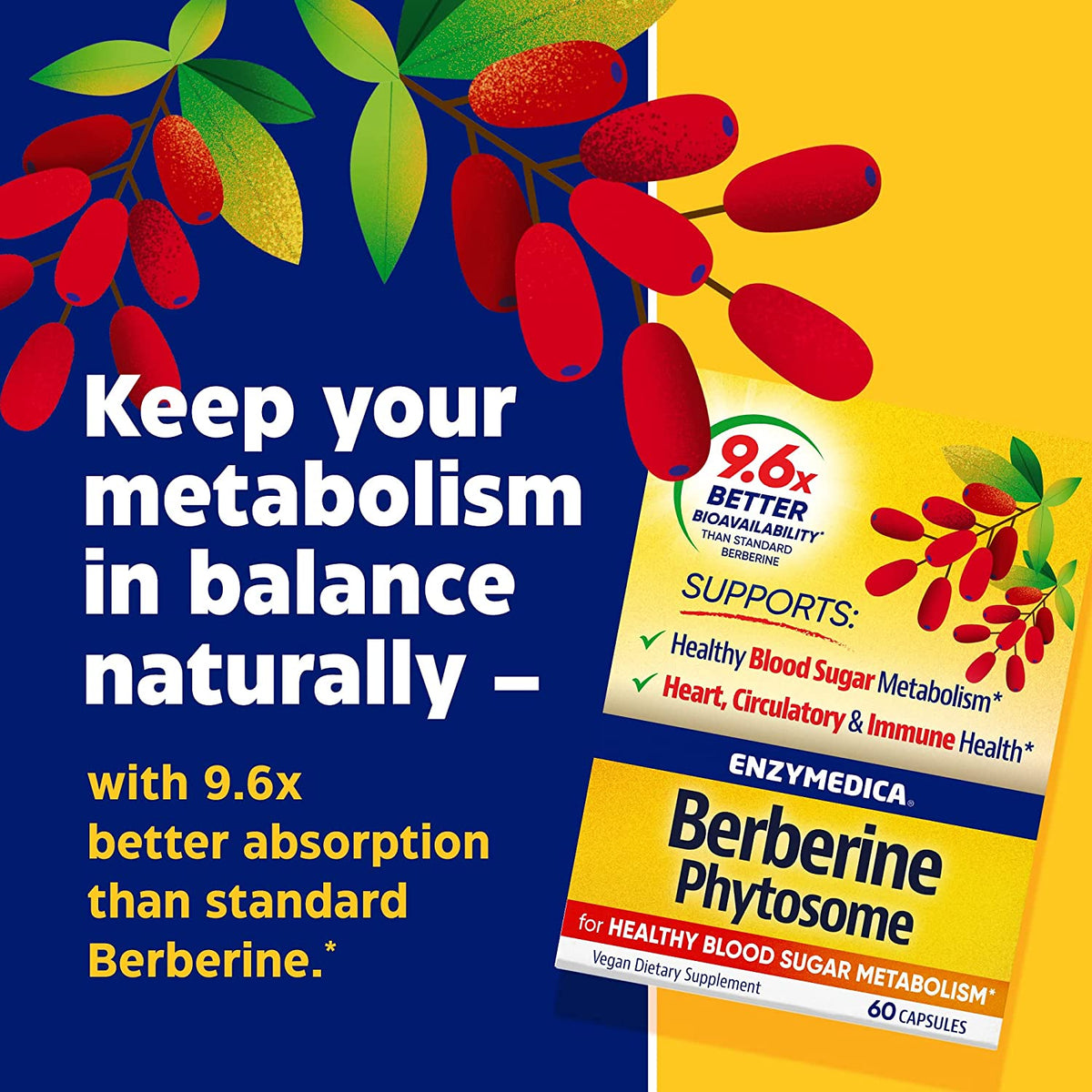 Enzymedica Berberine Phytosome-N101 Nutrition