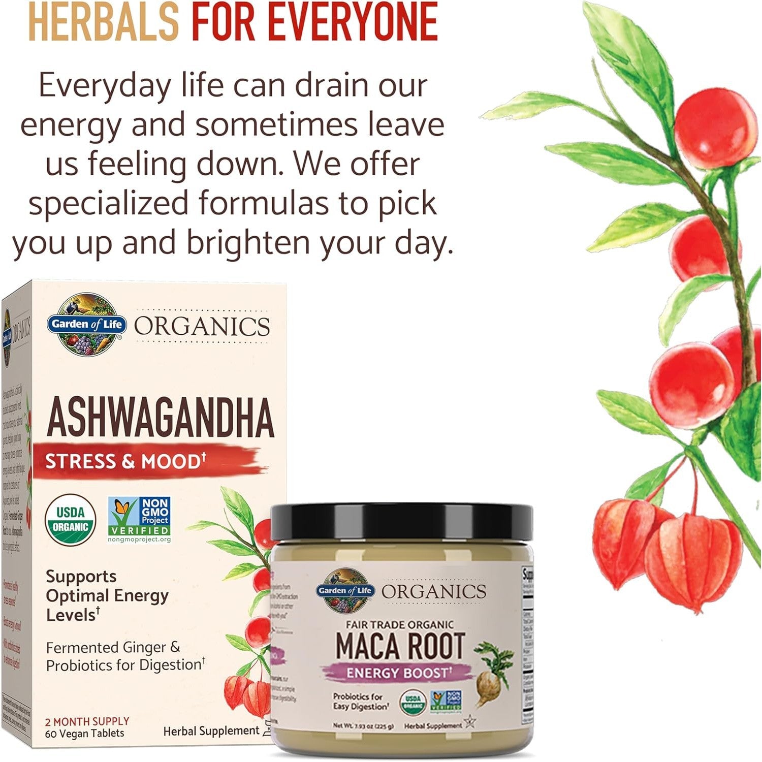 Garden of Life Organics Maca Root Energy Boost-N101 Nutrition