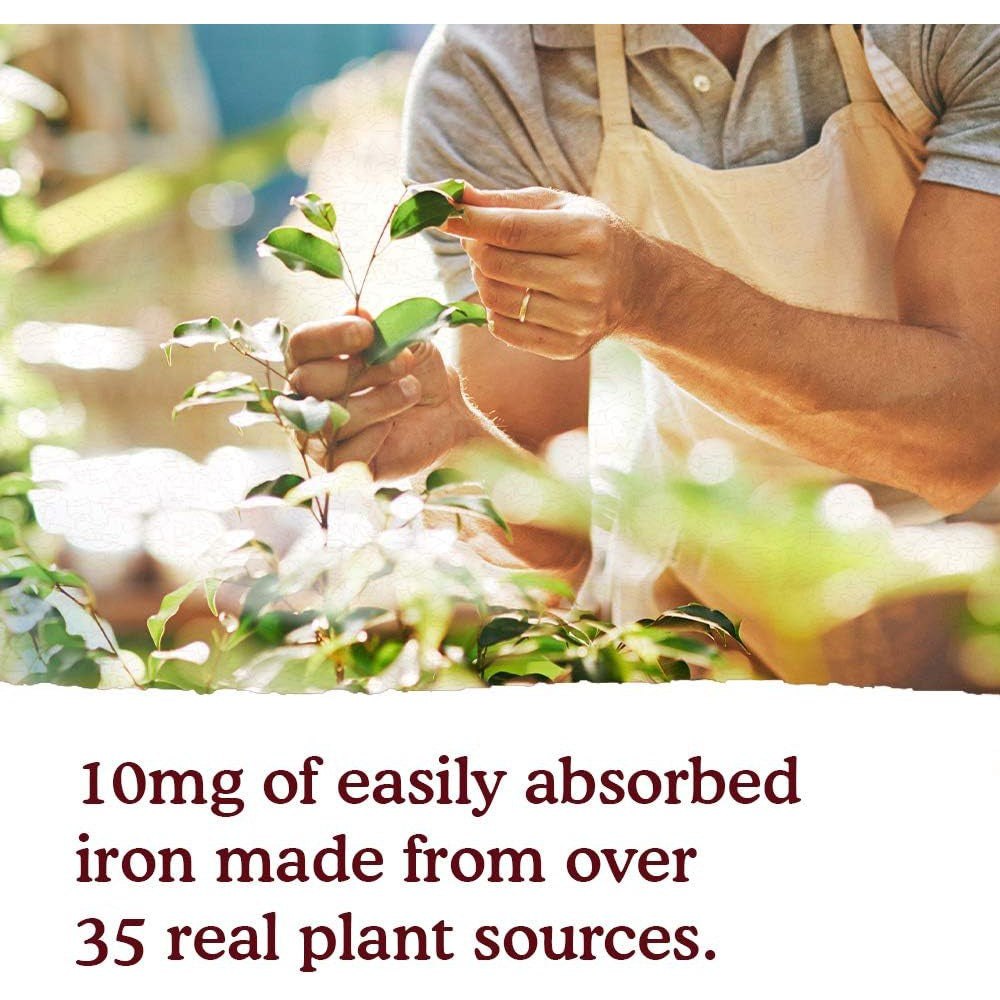 Garden of Life Organics Plant Iron & Organic Herbs - Cranberry-Lime-N101 Nutrition