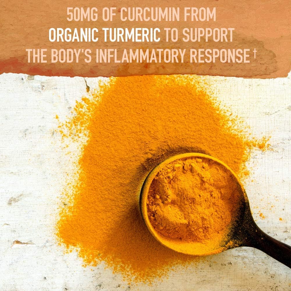 Garden of Life Organics Turmeric Boost Powder-N101 Nutrition