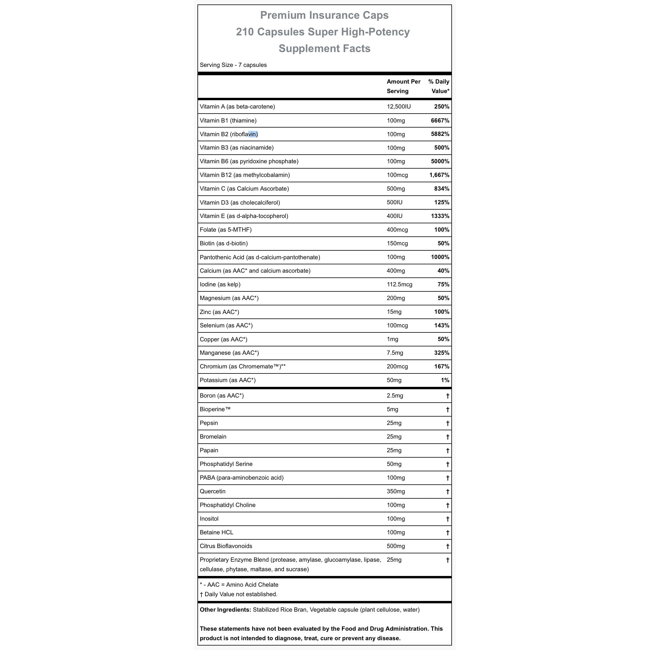 Hammer Nutrition Premium Insurance Caps-N101 Nutrition