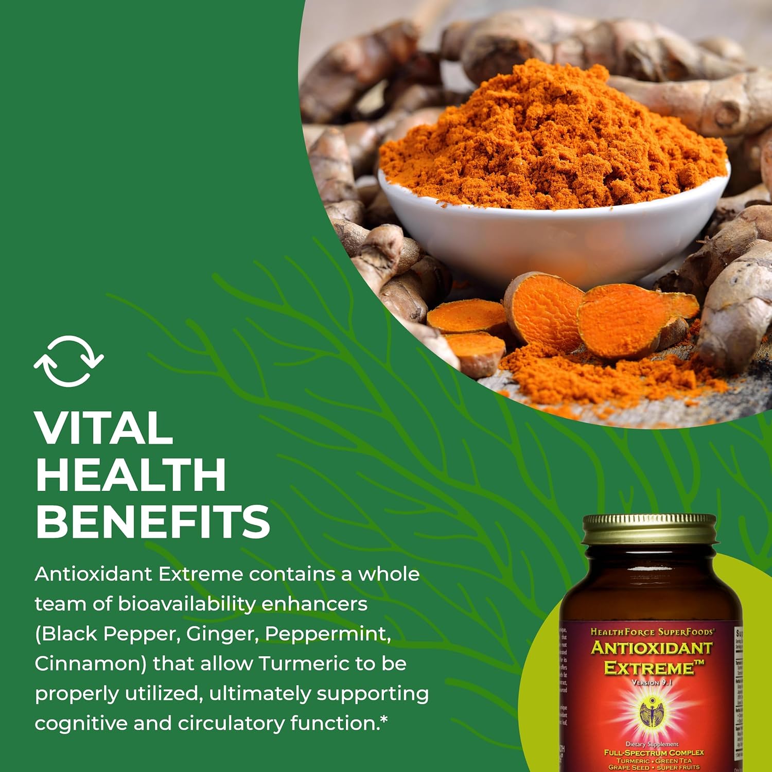 HealthForce SuperFoods Antioxidant Extreme-N101 Nutrition