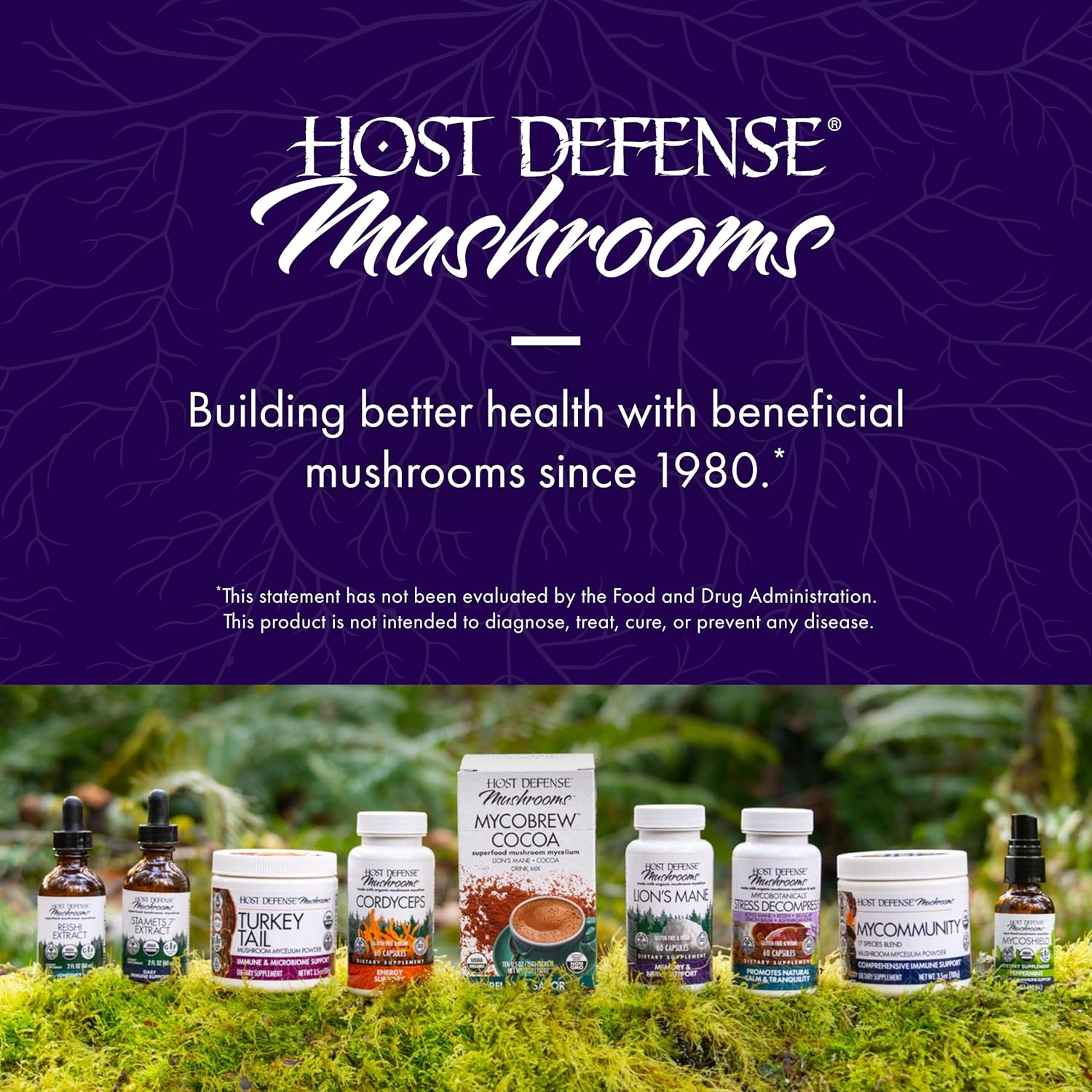 Host Defense Lion's Mane Mushroom Mycelium Powder-N101 Nutrition
