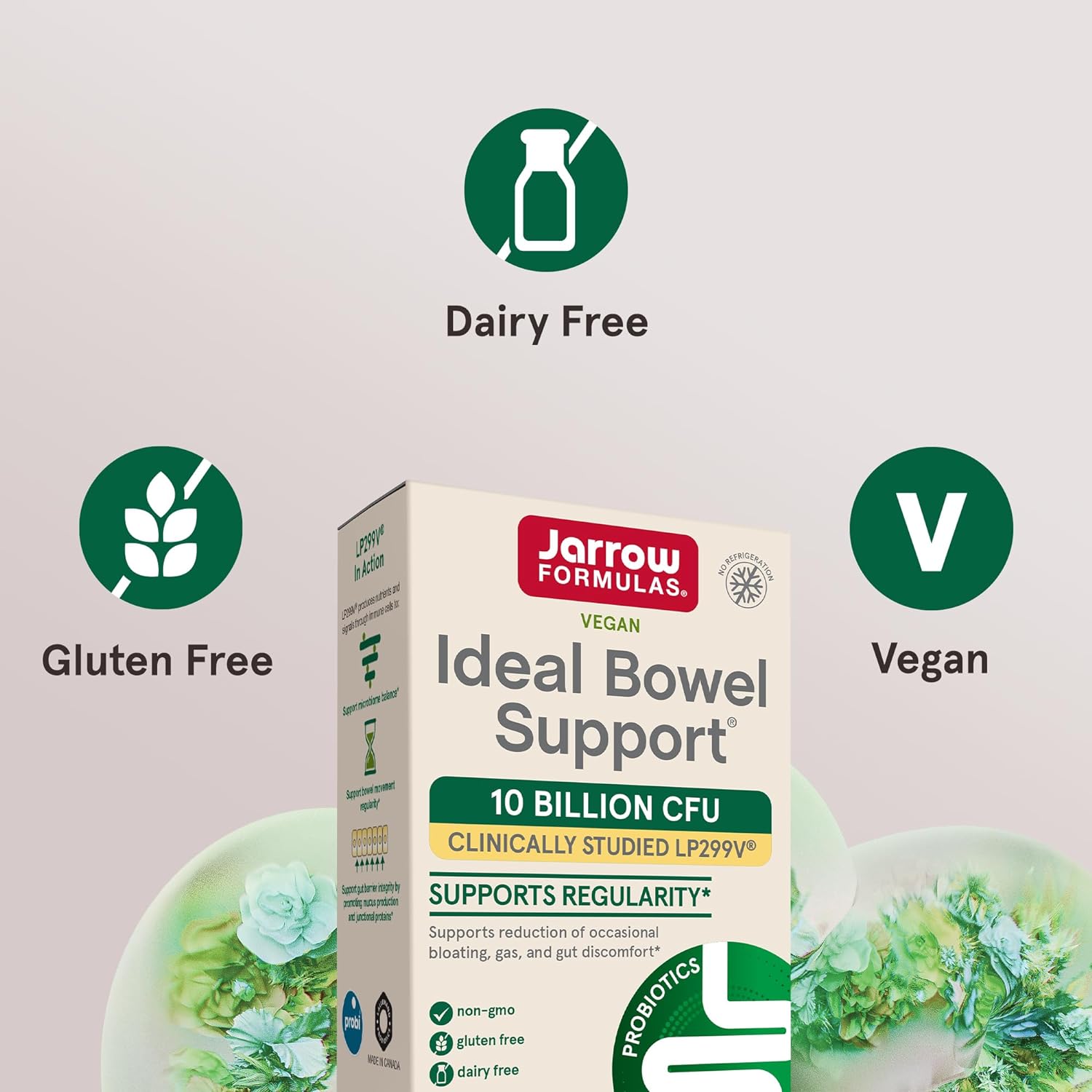 Jarrow Formulas Ideal Bowel Support® LP299V® - 10 Billion CFU-N101 Nutrition