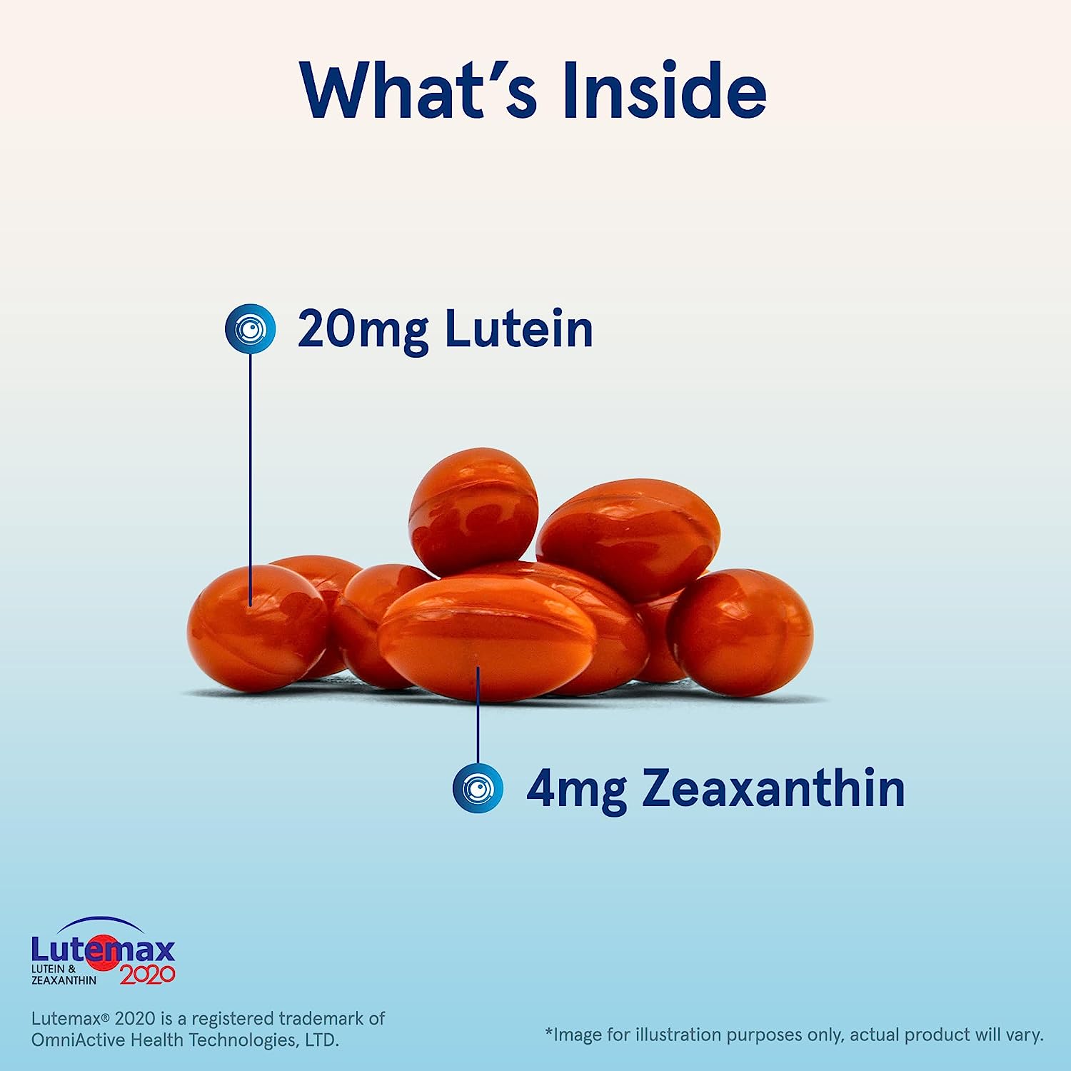 Jarrow Formulas Lutein 20 mg-N101 Nutrition
