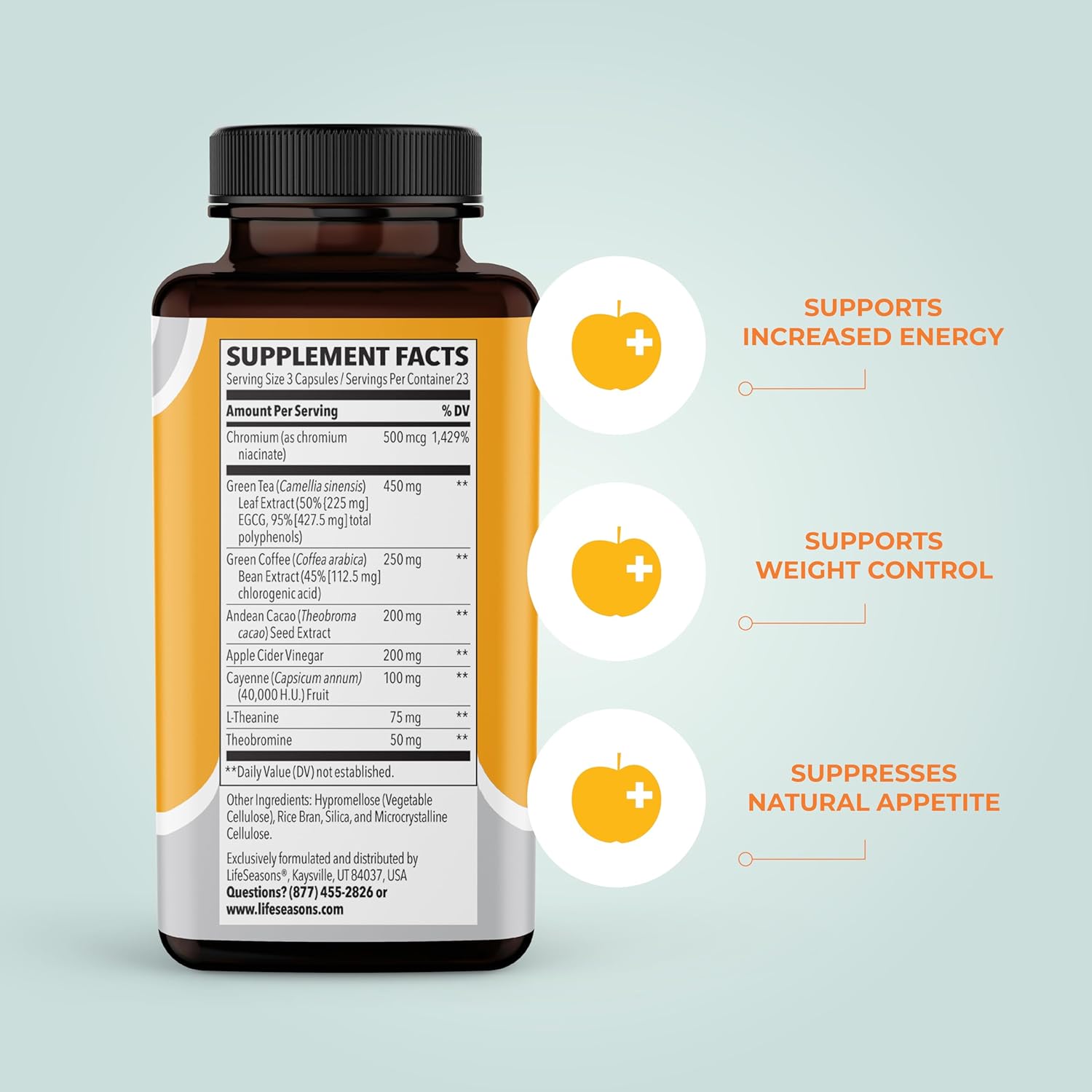 LifeSeasons Metabolism Weight Management-N101 Nutrition