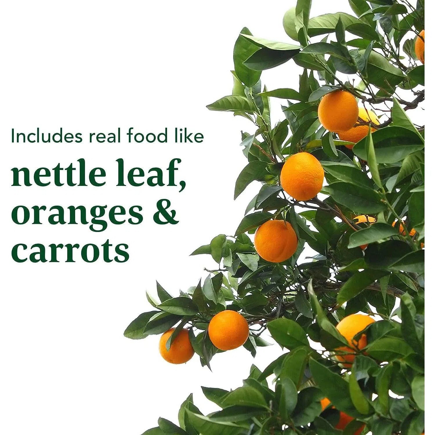 MegaFood Skin, Nails & Hair 2-N101 Nutrition