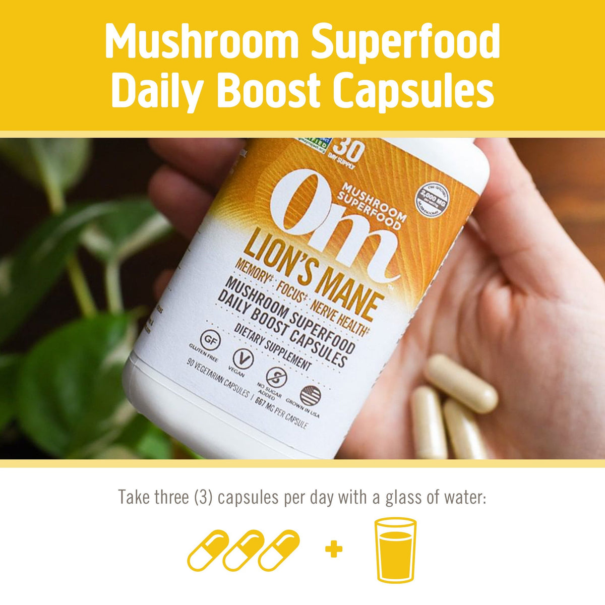 Om Lion's Mane Mushroom Capsules-N101 Nutrition