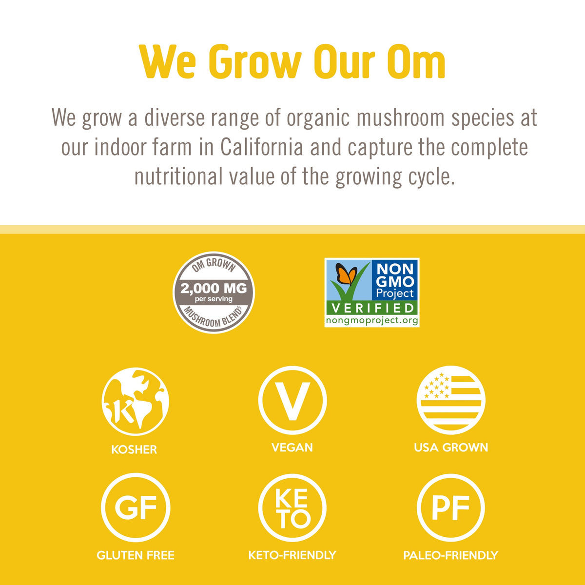 Om Lion's Mane Mushroom Capsules-N101 Nutrition