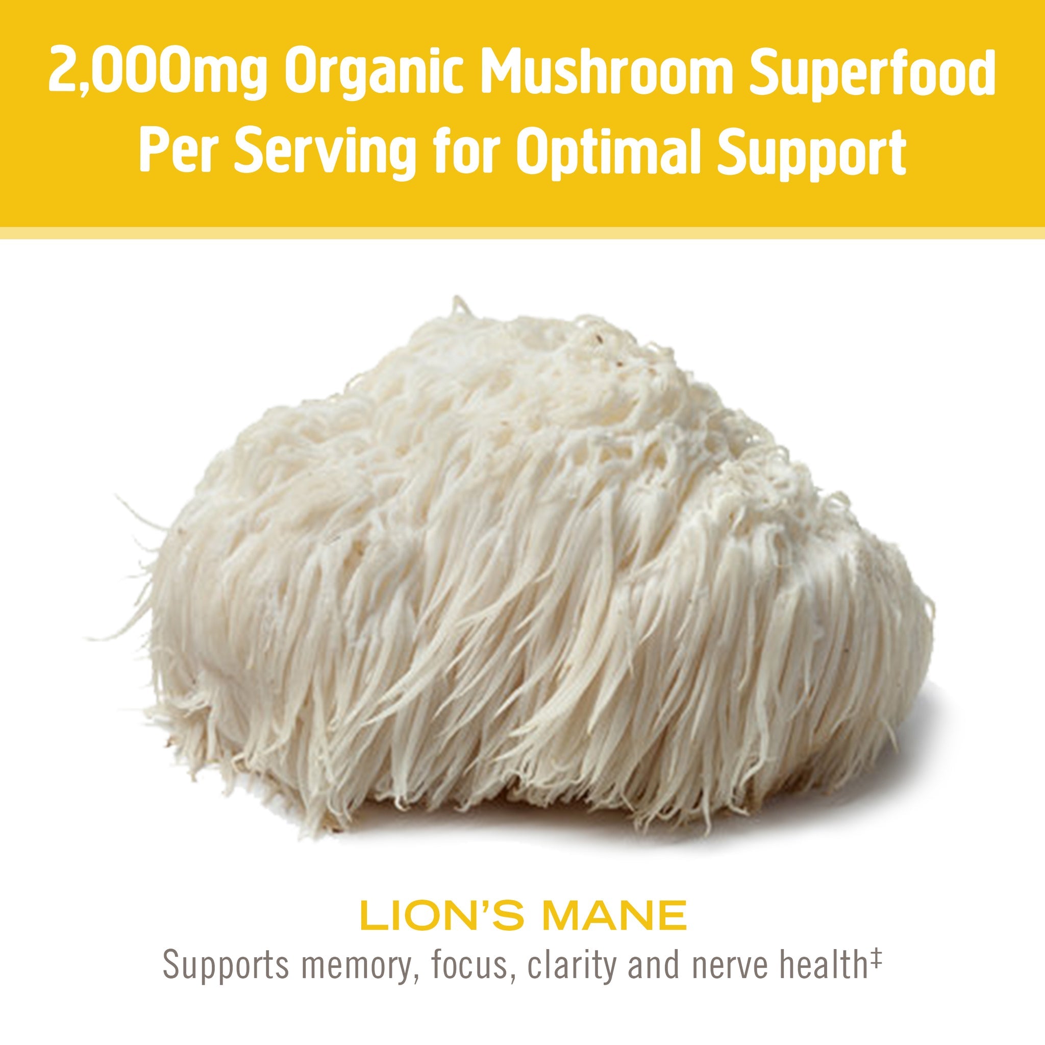 Om Lion's Mane Mushroom Powder-N101 Nutrition