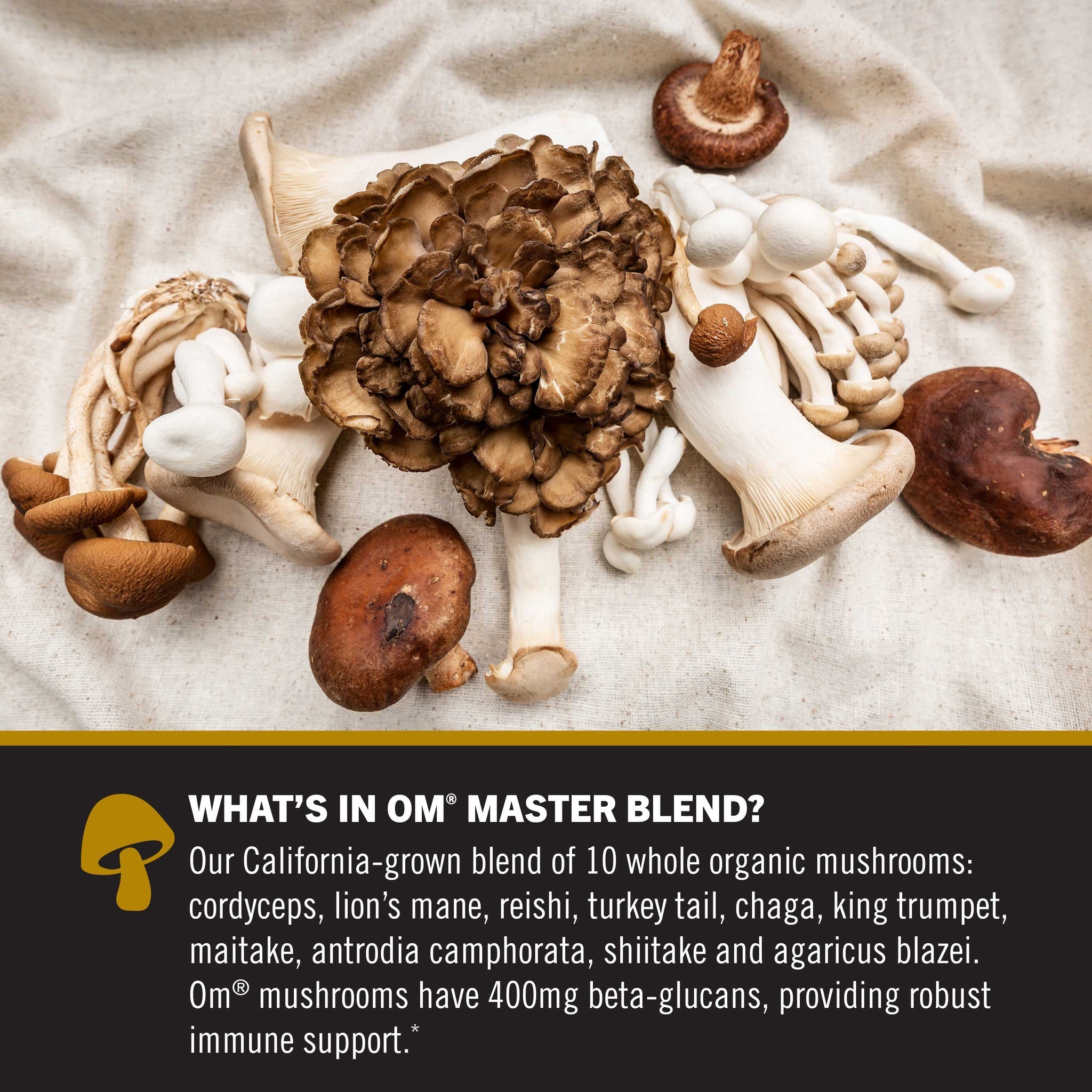 OM Master Blend Mushroom Gummies-N101 Nutrition