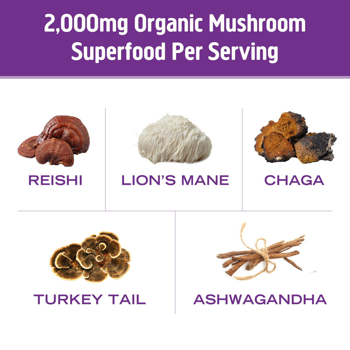 Om Superfood Mushroom Blend Hot Chocolate-N101 Nutrition