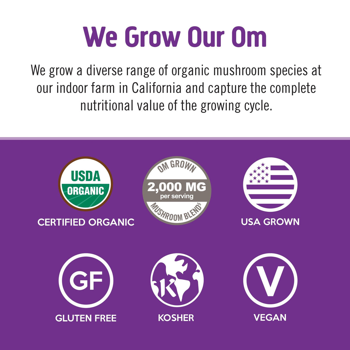 Om Superfood Mushroom Blend Hot Chocolate-N101 Nutrition
