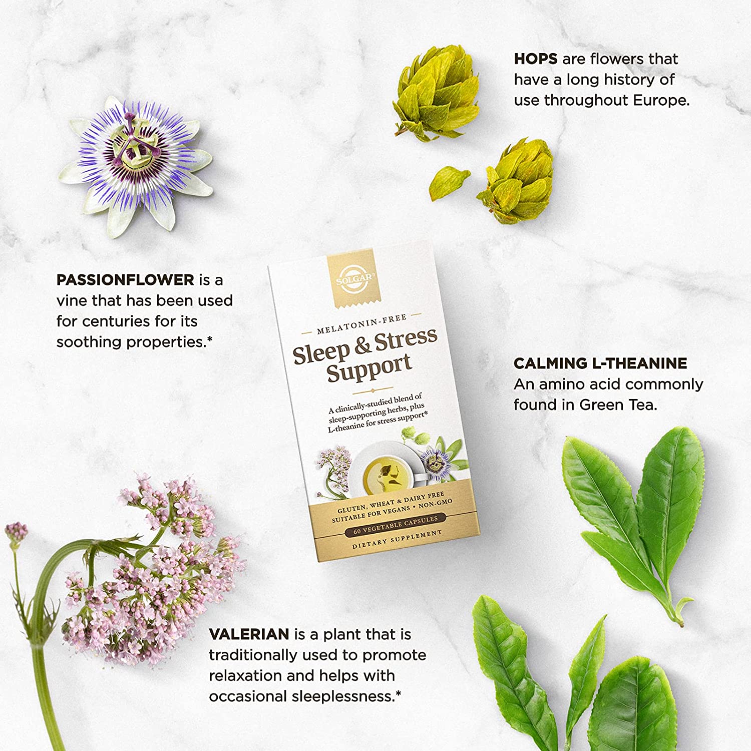 Solgar Sleep & Stress Support-N101 Nutrition