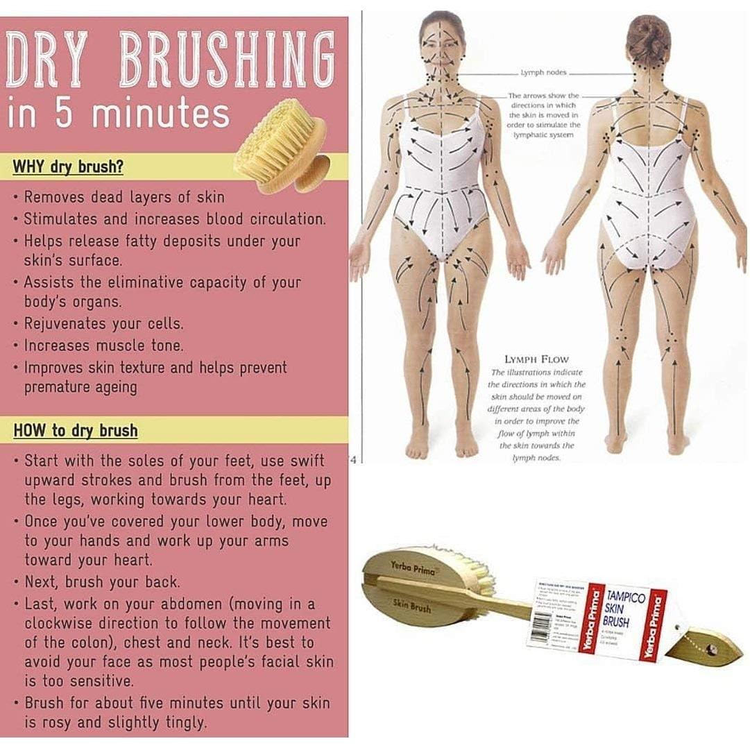 Yerba Prima Tampico Skin Brush-N101 Nutrition