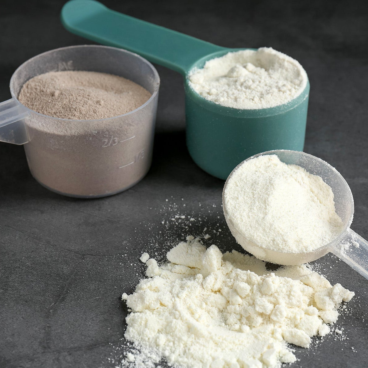 What Type of Protein Powder Is Best? – N101 Nutrition