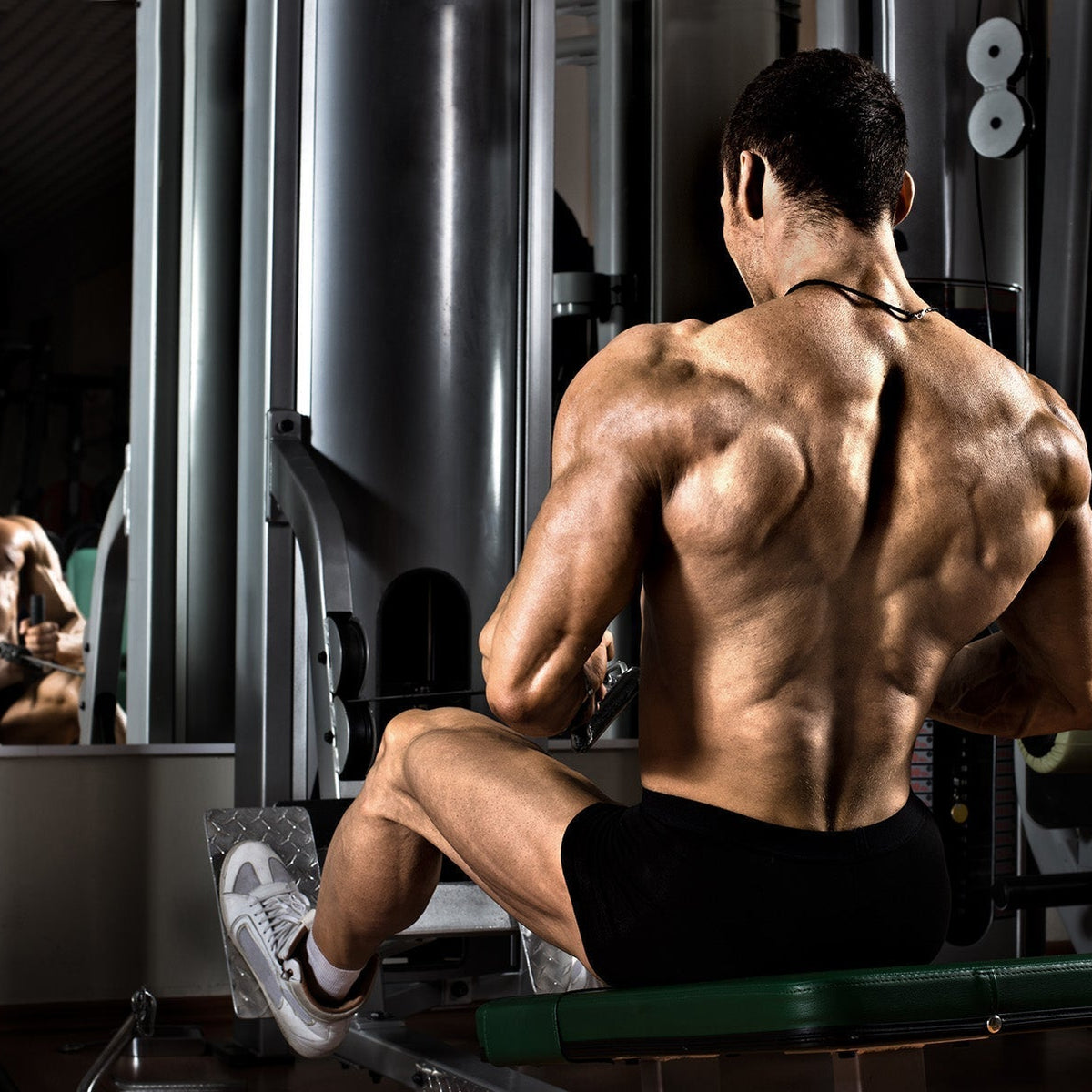 Protein, Creatine, and Aminos: How They Work Together for Muscle Growt ...