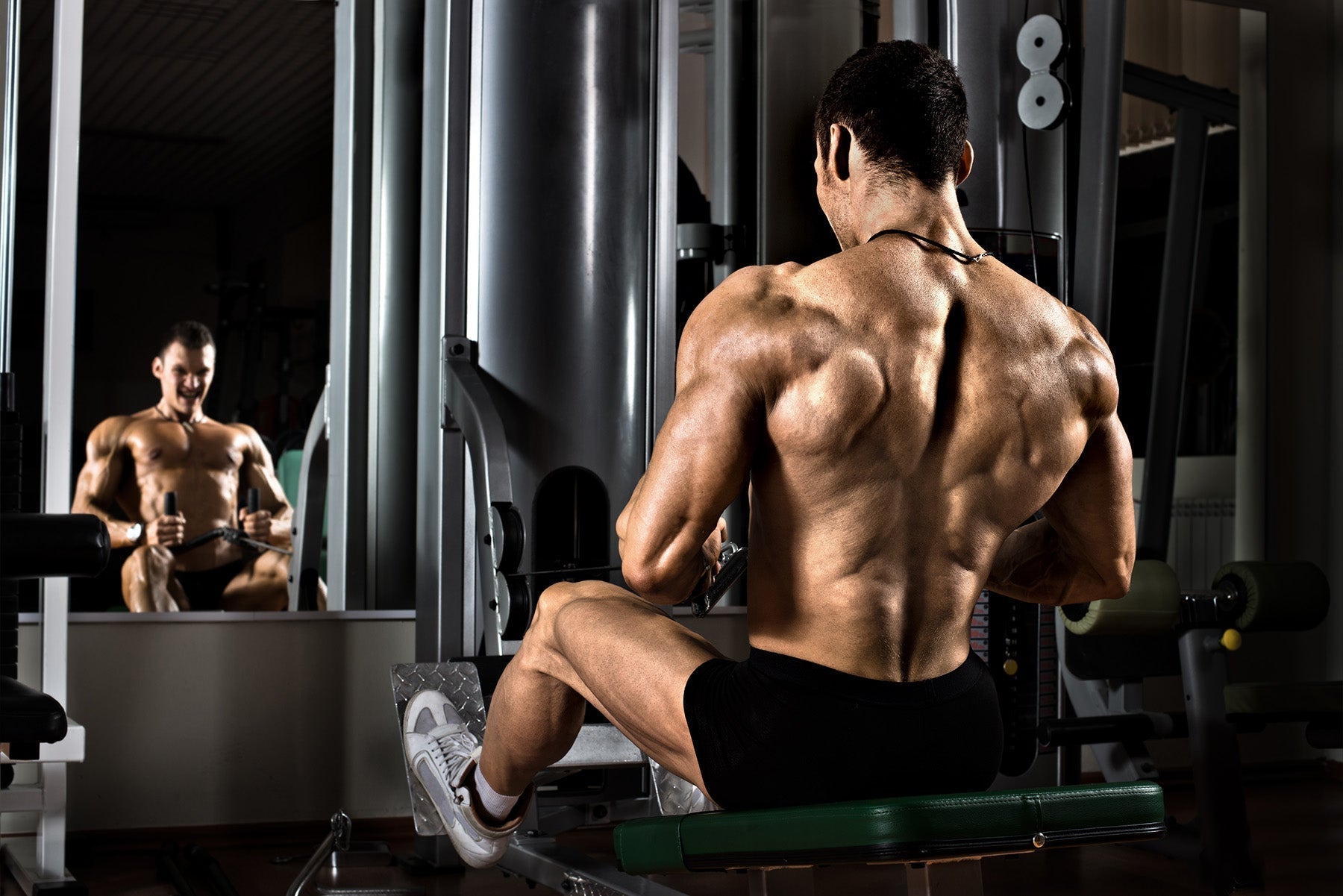 Protein, Creatine, and Aminos: How They Work Together for Muscle Growth