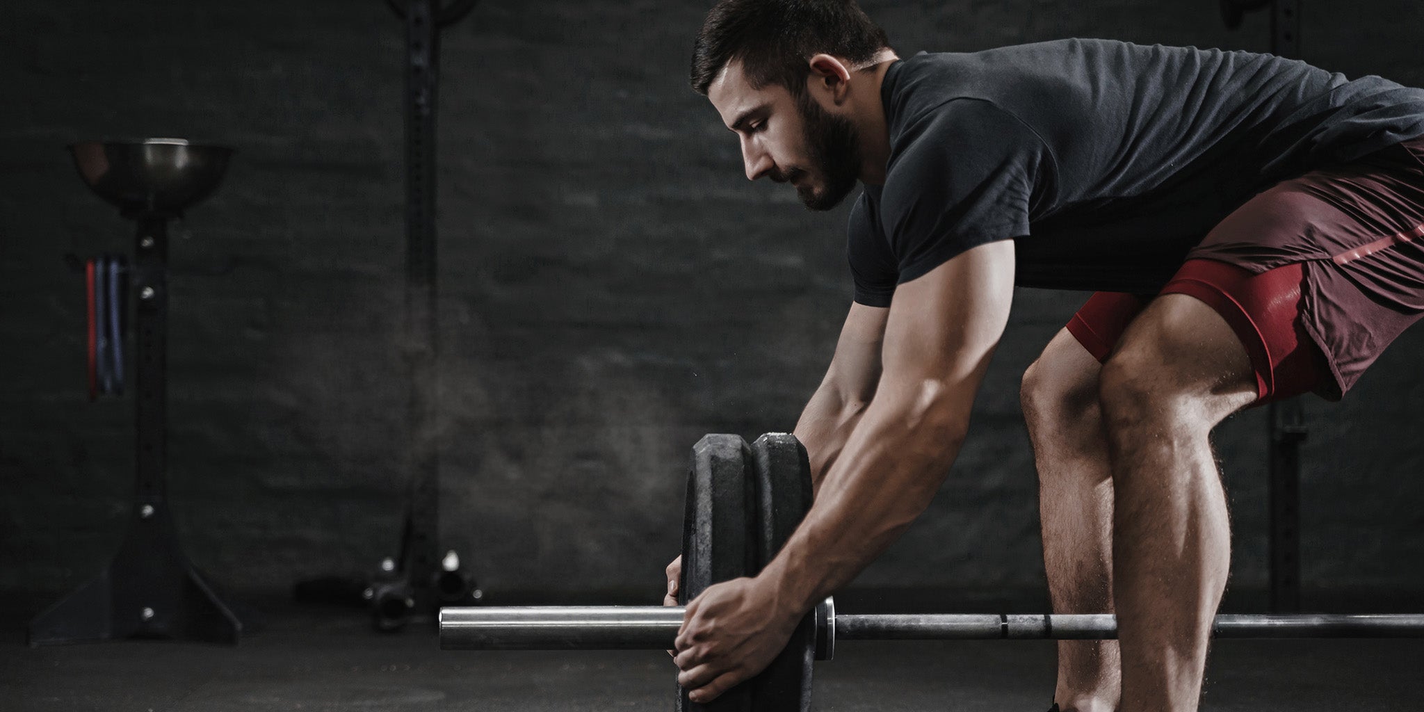 Muscle Building & Growth