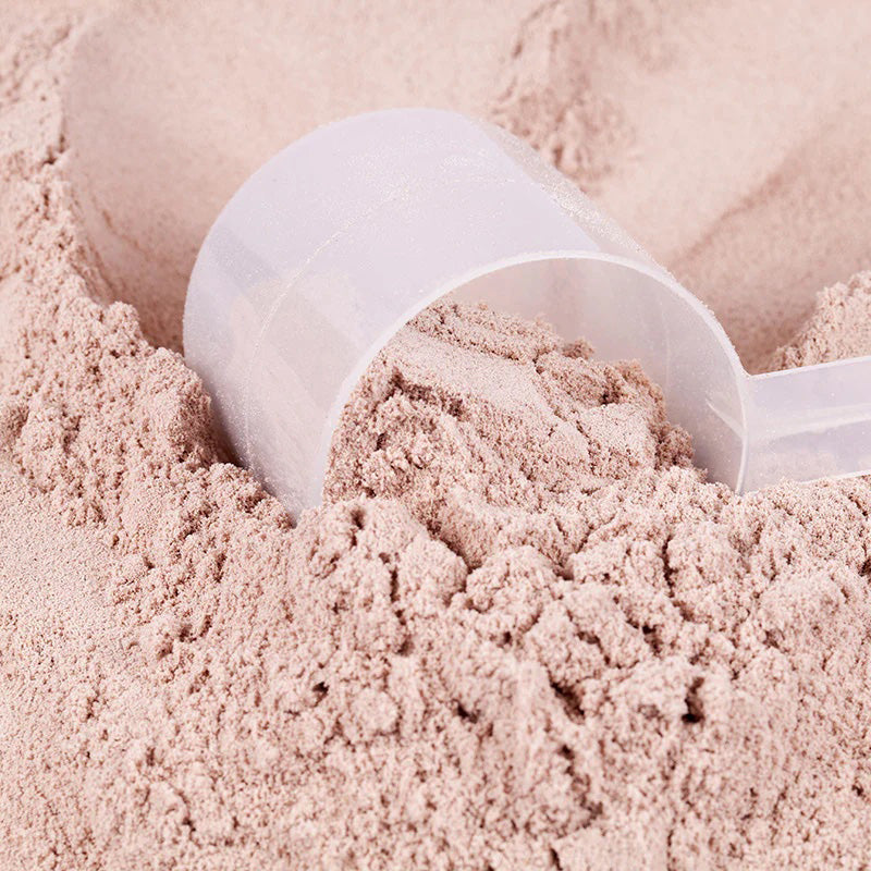 Protein Powders