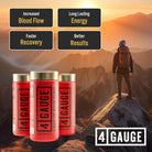 4 GAUGE Explosive Natural Preworkout-N101 Nutrition