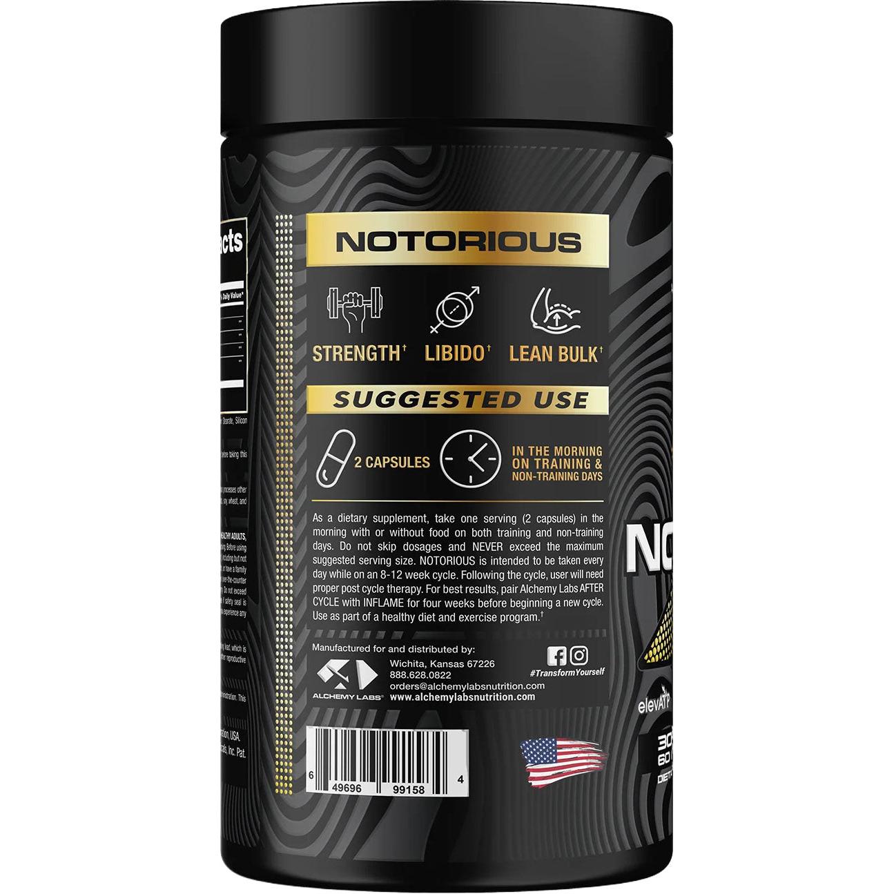 Alchemy Labs Notorious-N101 Nutrition