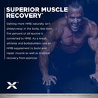 ALLMAX Essentials HMB 3000-N101 Nutrition