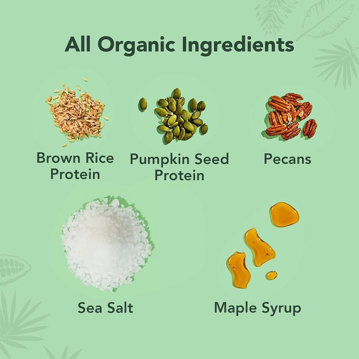 ALOHA Organic Plant-Based Protein Bars-N101 Nutrition