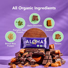 ALOHA Organic Plant-Based Protein Bars-N101 Nutrition