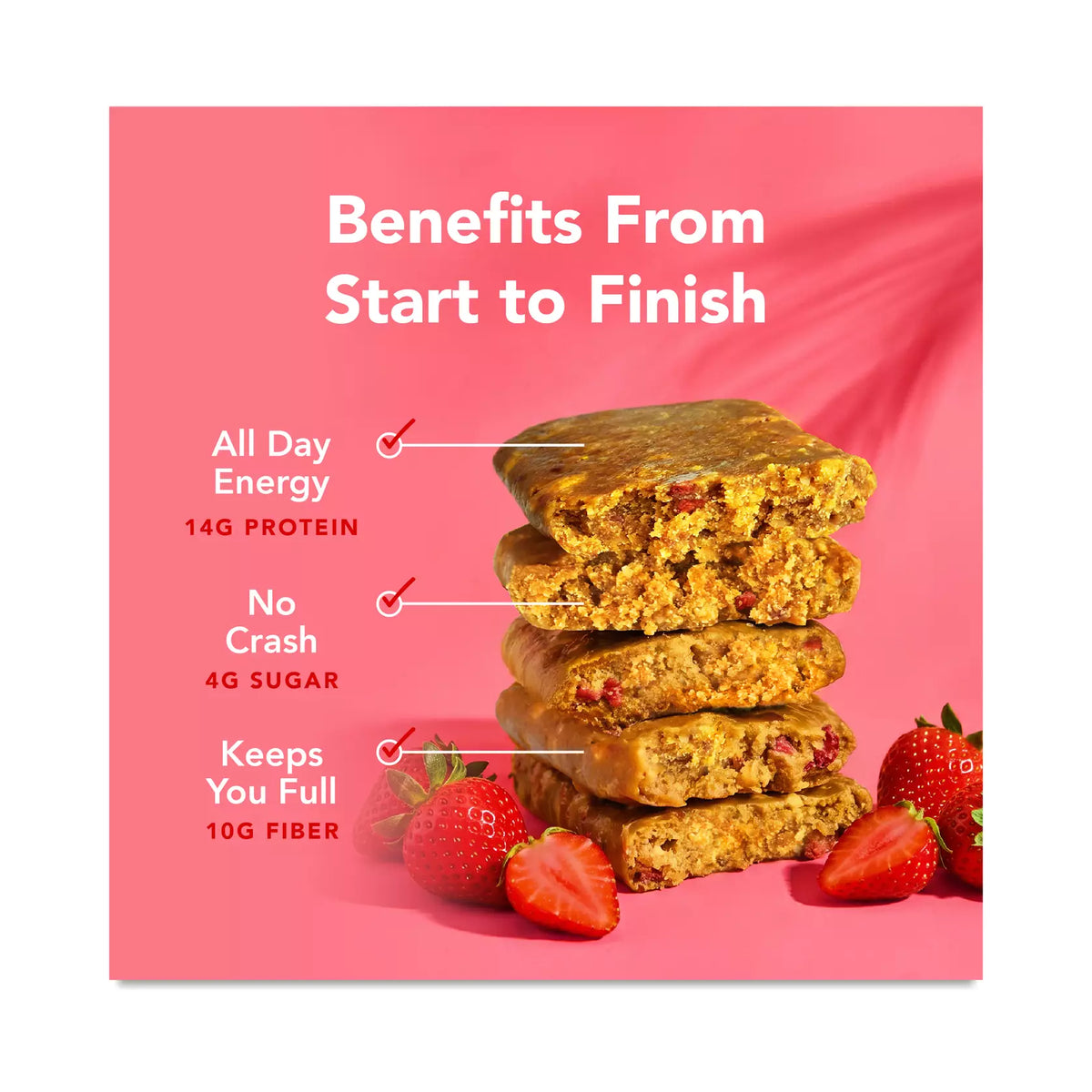 ALOHA Organic Plant-Based Protein Bars-N101 Nutrition