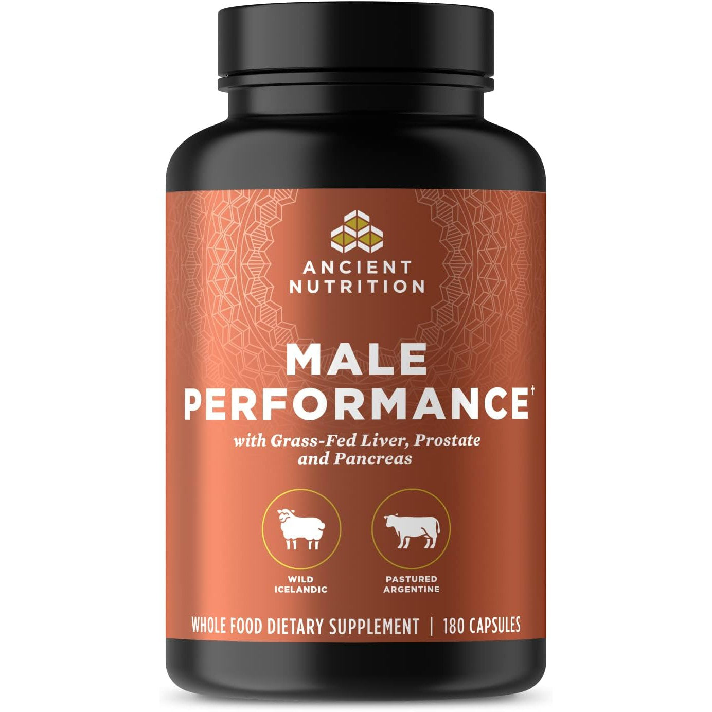 Ancient Nutrition Male Performance-180 capsules-N101 Nutrition