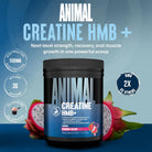 Animal Creatine HMB+-N101 Nutrition