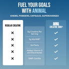 Animal Creatine HMB+-N101 Nutrition