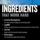 Animal Creatine HMB+-N101 Nutrition