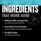 Animal Nitro EAA-N101 Nutrition