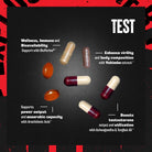 Animal Test-N101 Nutrition