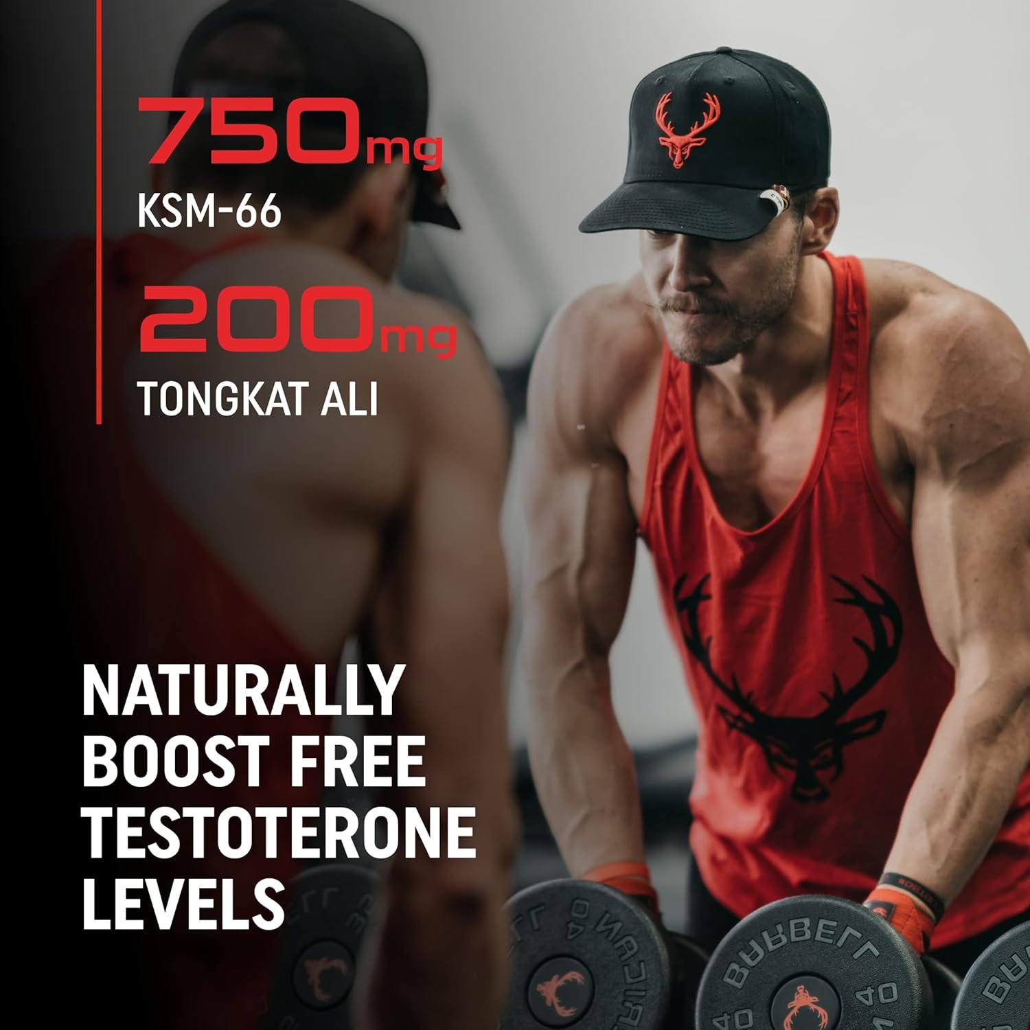 Bucked Up RUT Testosterone Booster-N101 Nutrition