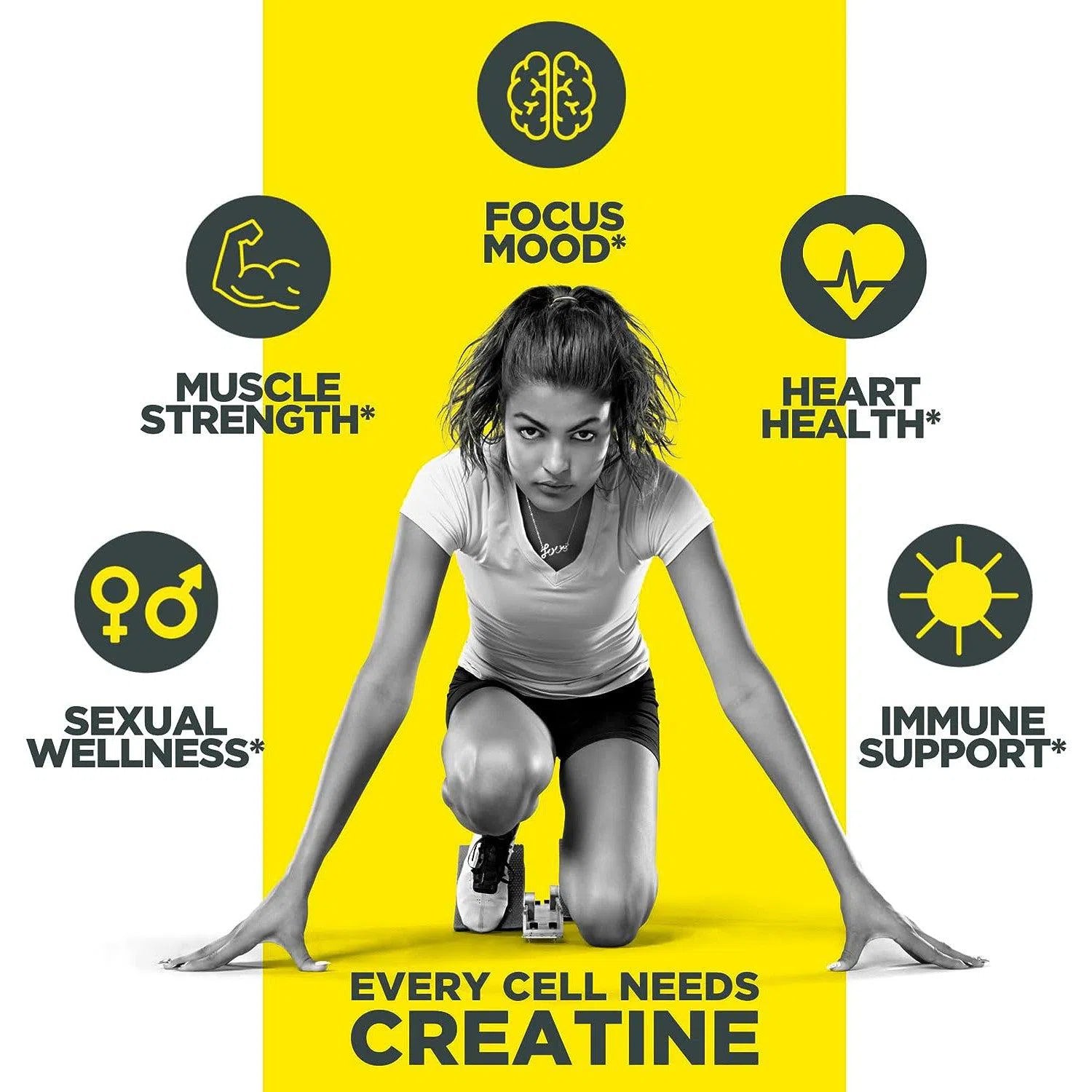 CON-CRET Patented Creatine HCl Powder-N101 Nutrition