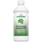 Dynamic Health Liquid Chlorophyll - Peppermint-16 fl oz (473 mL)-N101 Nutrition