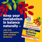 Enzymedica Berberine Phytosome-60 capsules-N101 Nutrition