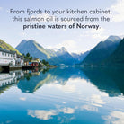 Garden of Life Dr. Formulated Norwegian Salmon Oil-N101 Nutrition