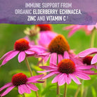 Garden of Life Organics Elderberry Immune Syrup-N101 Nutrition